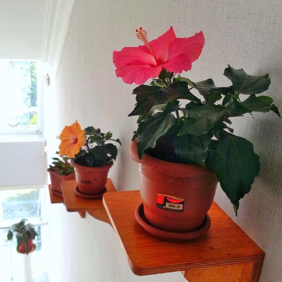 Gozel Naftalan Health Resort エクステリア 写真